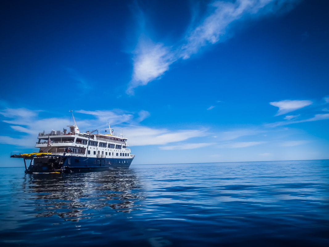 Explore the Sea of Cortez with Uncruise Adventures