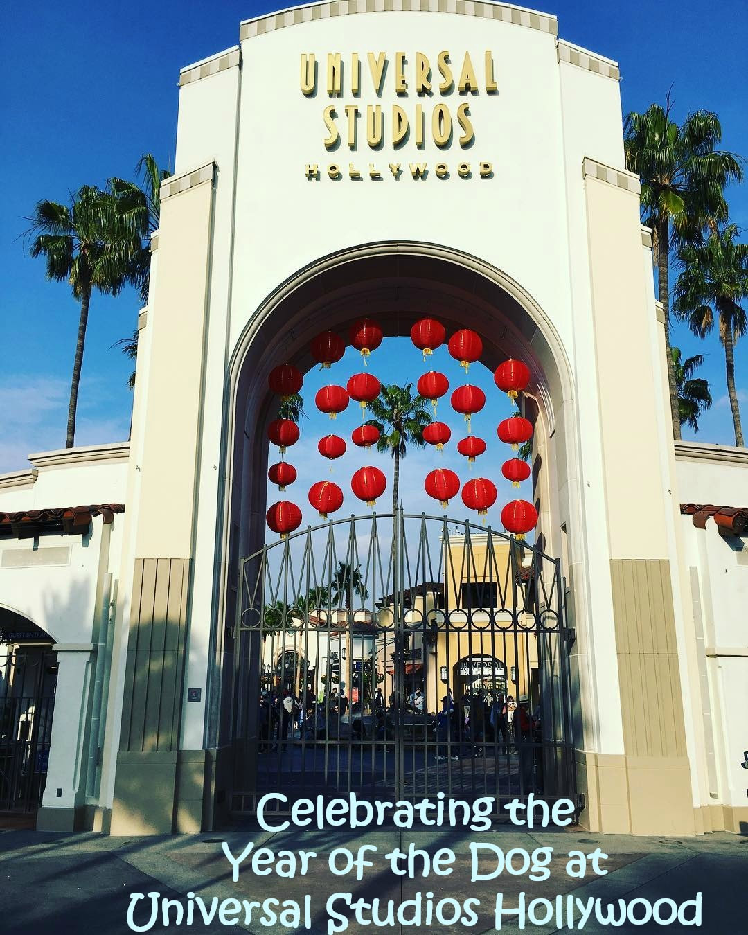 Celebrating the Year of the Dog at Universal Studios Hollywood