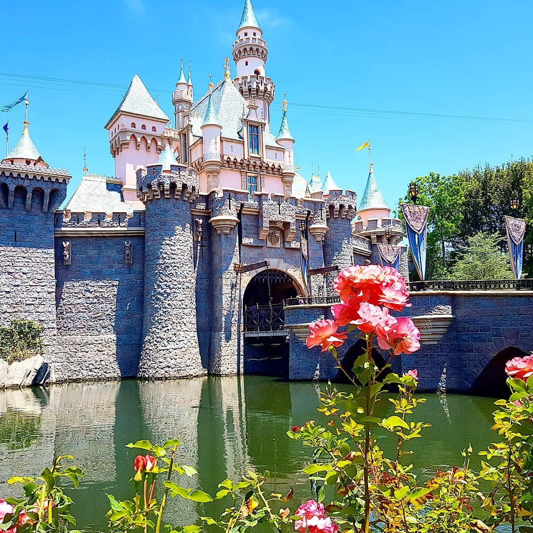 Disneyland Magical Experiences in 2019