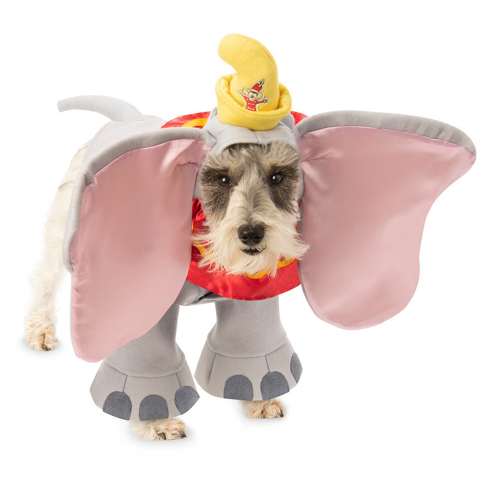 Disney Halloween costumes for the whole family
