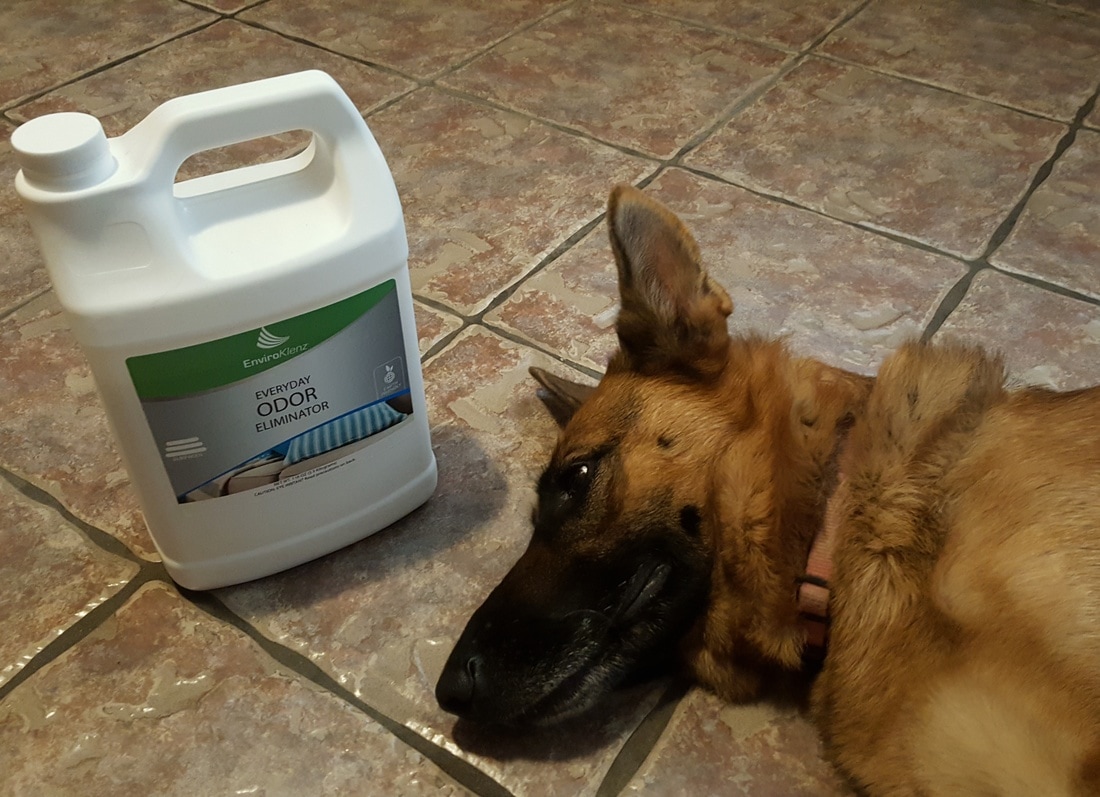Getting rid of pet odors with EnviroKlenz