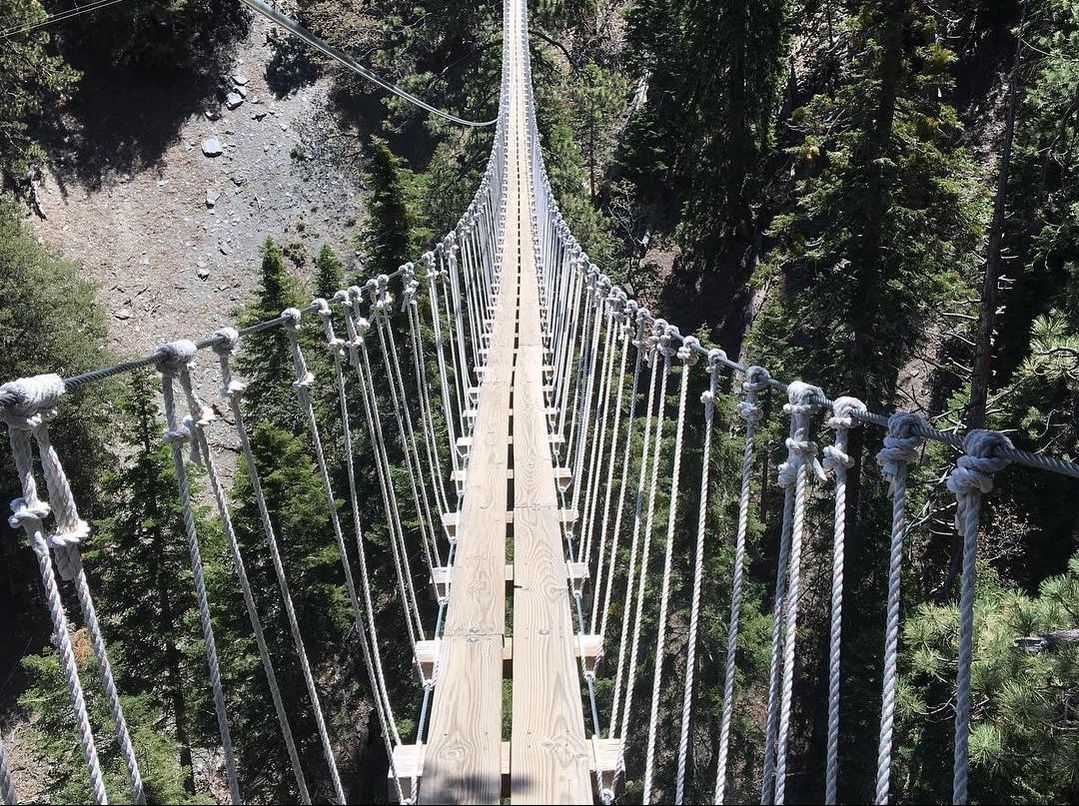 Hanging bridge Ziplines Pacific Crest
