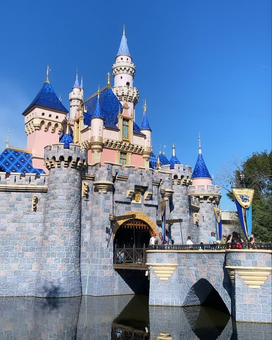New things happening at Disneyland Resort for Spring 2020