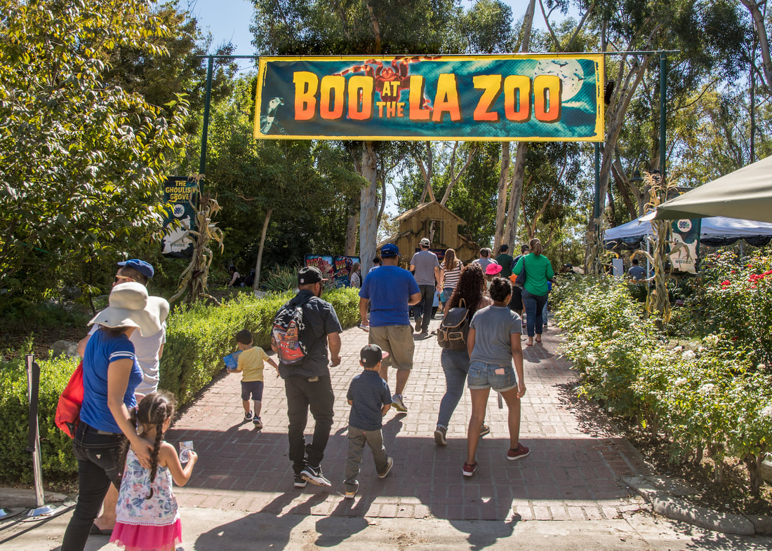 Boo at the L.A. Zoo