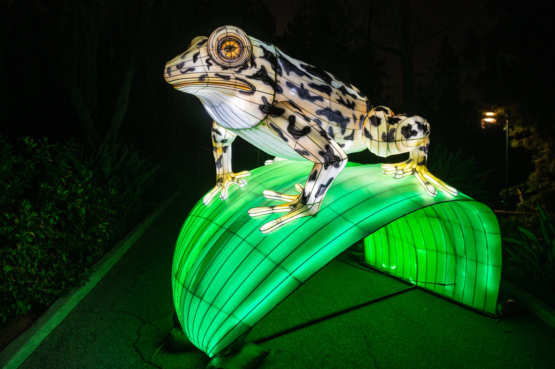 L.A. Zoo Lights: Animals Aglow Happening Nov. 18, 2022 - Jan. 22, 2023