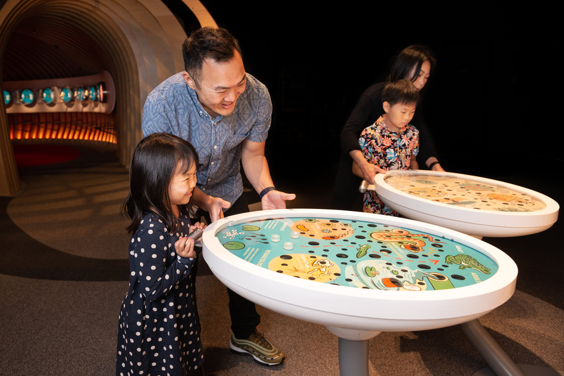 Life Beginnings at the California Science Center  Opens June 18th
