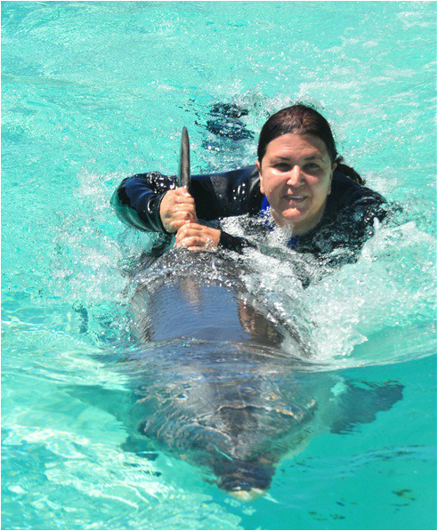 Dolphin Interaction Program SeaWorld