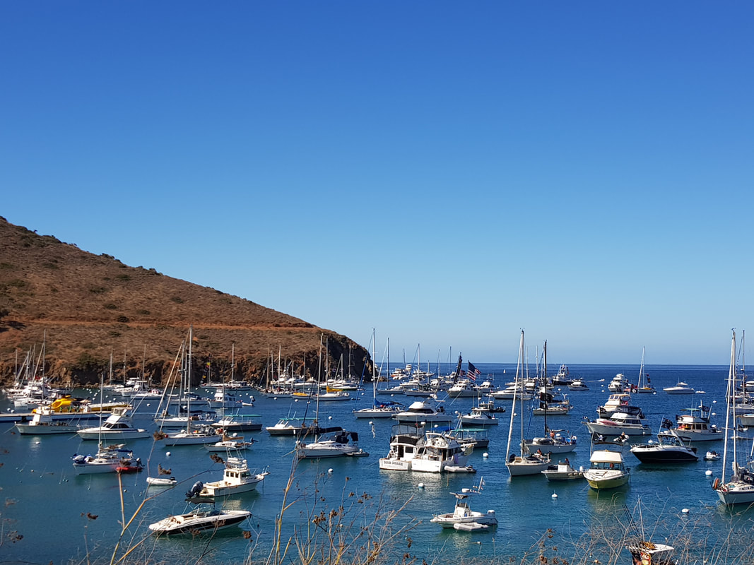 Two Harbors in Catalina Island
