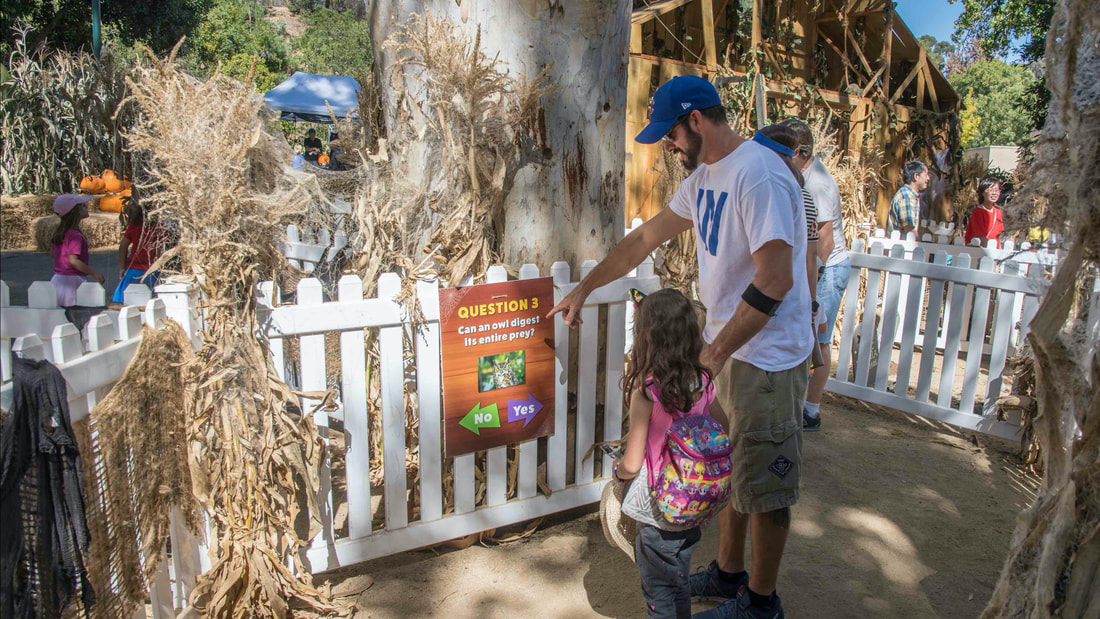 Boo at the L.A. Zoo returns for 2021