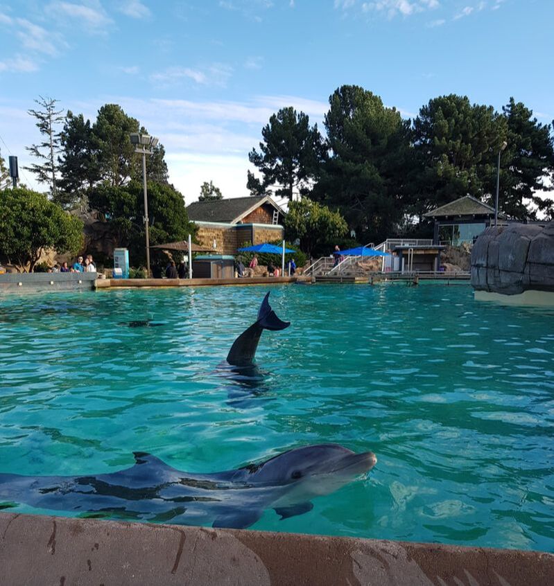 Girls Day Out at SeaWorld San Diego