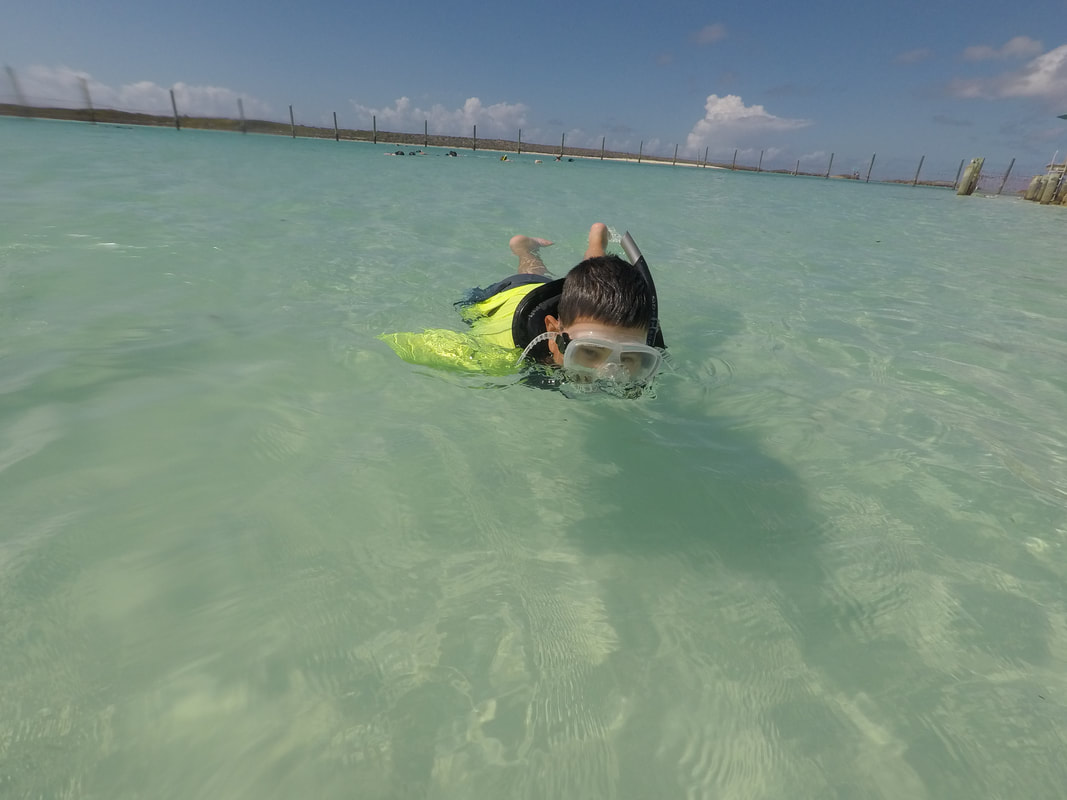 Snorkeling Castaway Cay