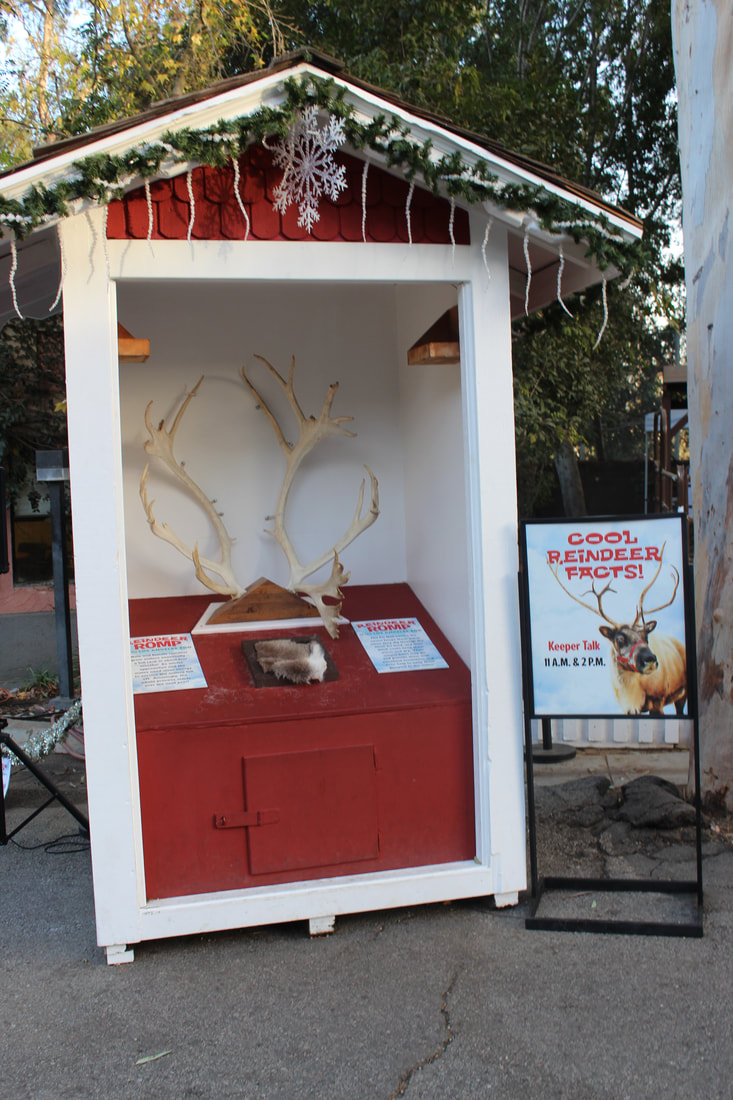 Los Angeles Zoo's Reindeer Romp Holiday Celebration