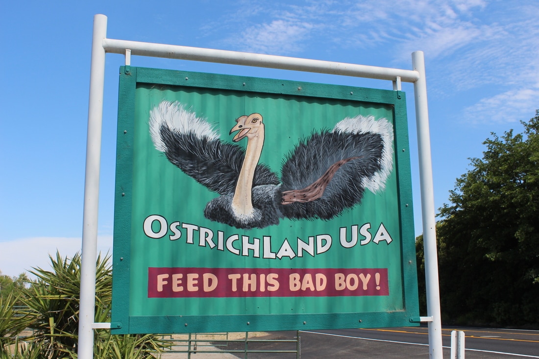 Ostrichland USA