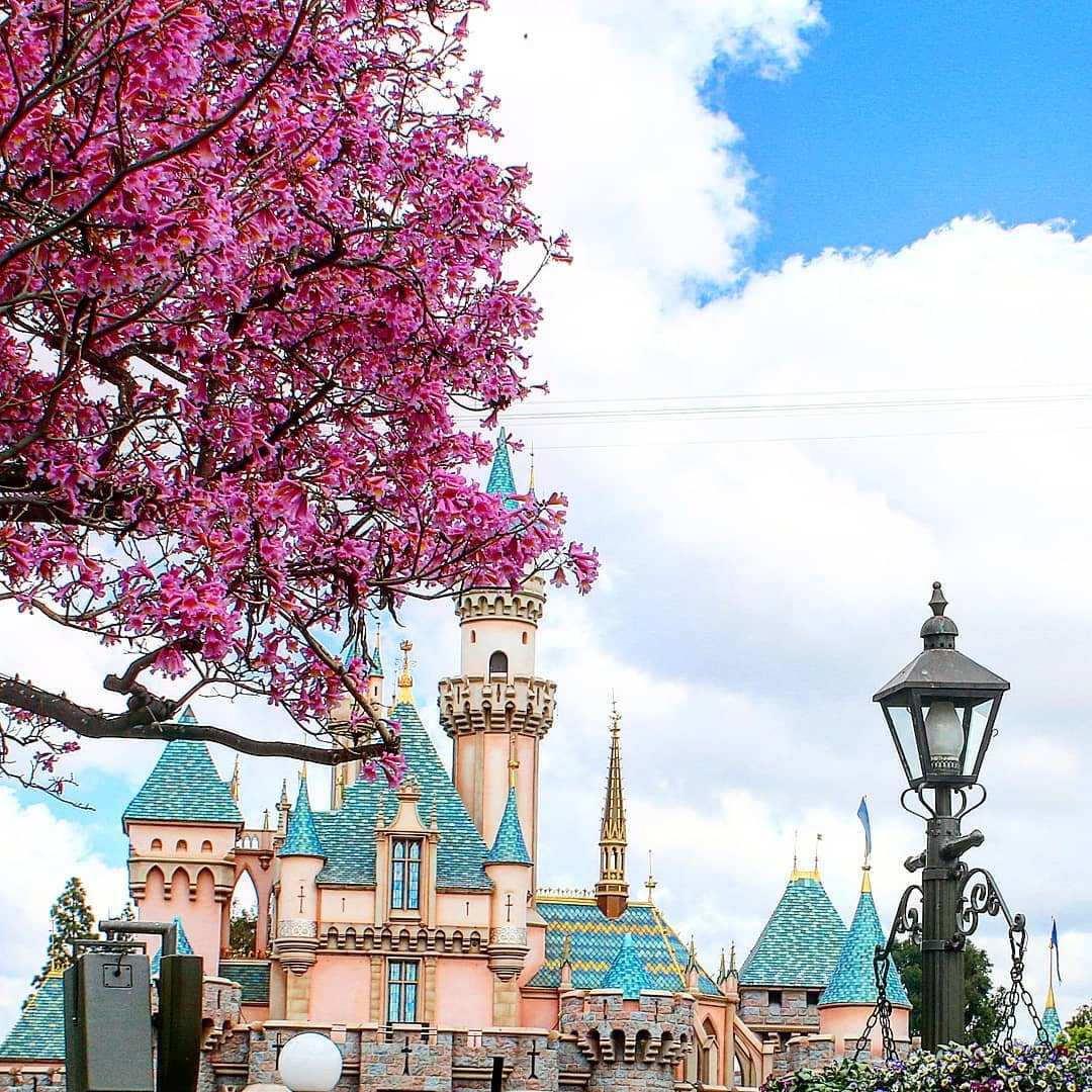 8 Tips To Enjoy Your Disneyland Vacation