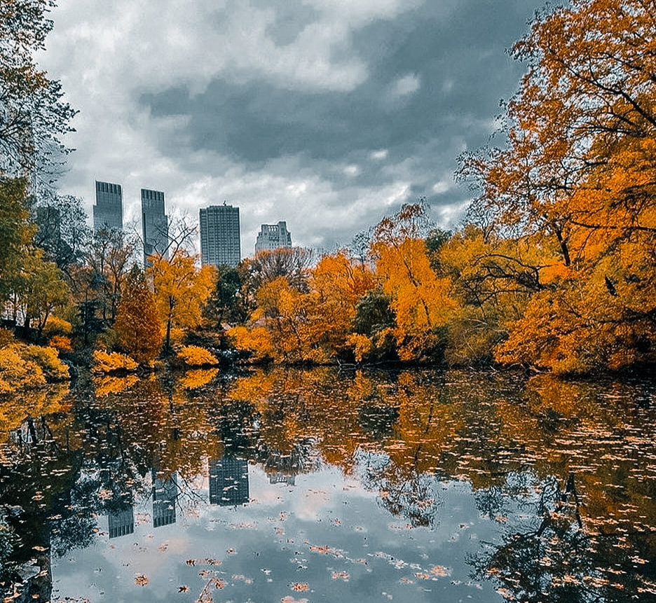Perfect Fall Time Spots To See in New York