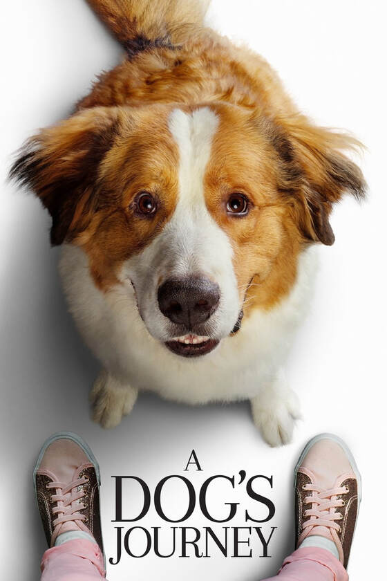 A Dog's Journey Movie review