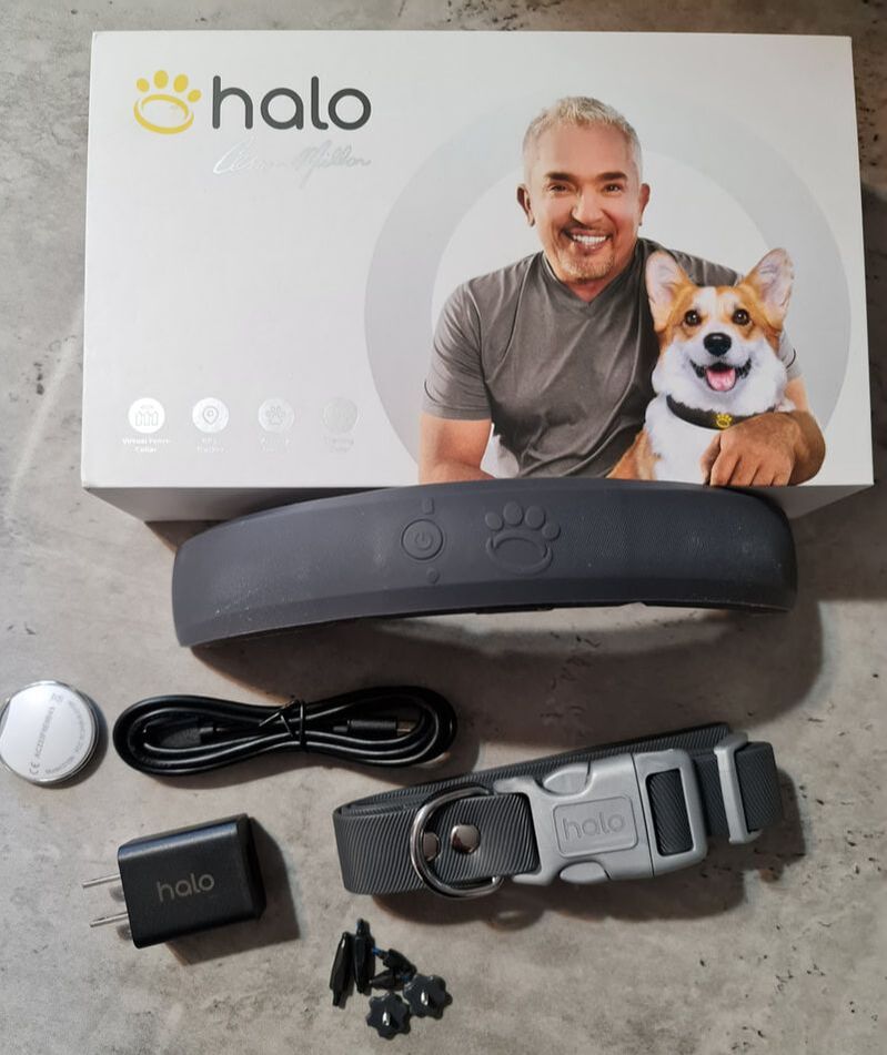Training my dogs and keeping them safe with Halo Collar