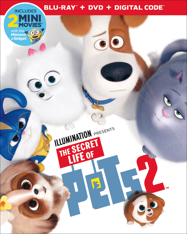 The Secret Life of Pets 2 available on Digital, Blu-ray and DVD