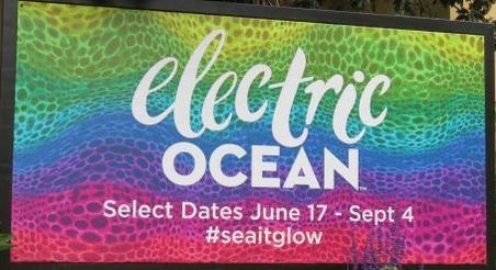 Electric Ocean SeaWorld San Diego