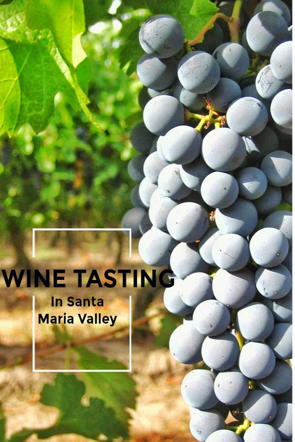 Wine Tasting in Santa Maria Valley