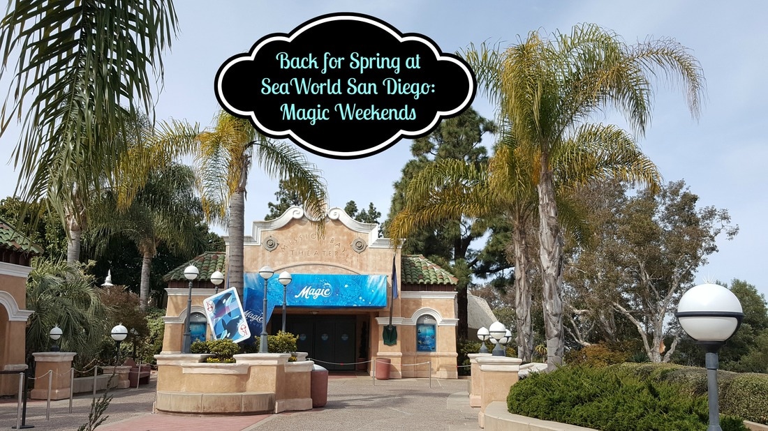 Back for Spring at SeaWorld San Diego: Magic Weekends